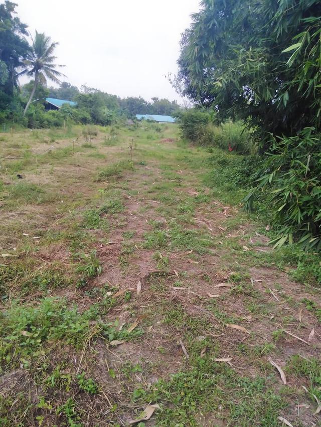 ขายที่ดินเปล่า​ชลบุรี, Land​ for sale, Thailand 2