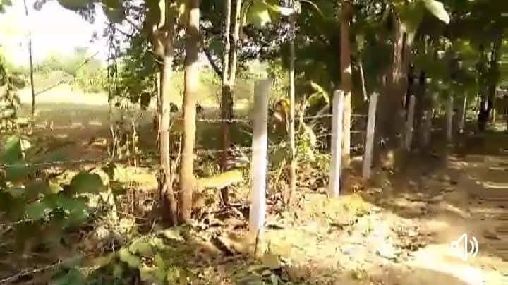 ที่รอออกเอกสารสิทธิ์7ไร่1งาน72ตารางวายกแปลง 220,000บาท​ ล้อมรั้วลวดหนามเรียบร้อย ติดถนนสาธารณะ 2ด้าน  มีต้นลำใยต้นมะม่วง ไผ่ มะพร้าว ต้นสัก ต้นมะขาม 12