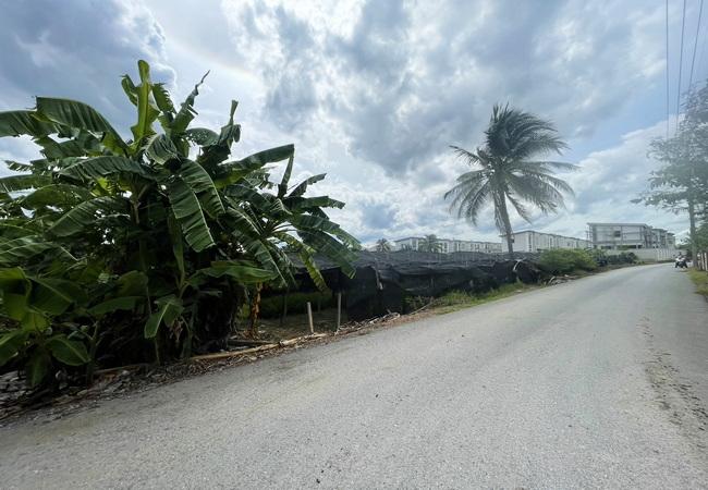 ขายที่ดิน ซอยโรมัน ตำบลสามพราน อำเภอสามพราน นครปฐม เนื้อที่ 8 ไร่ 2