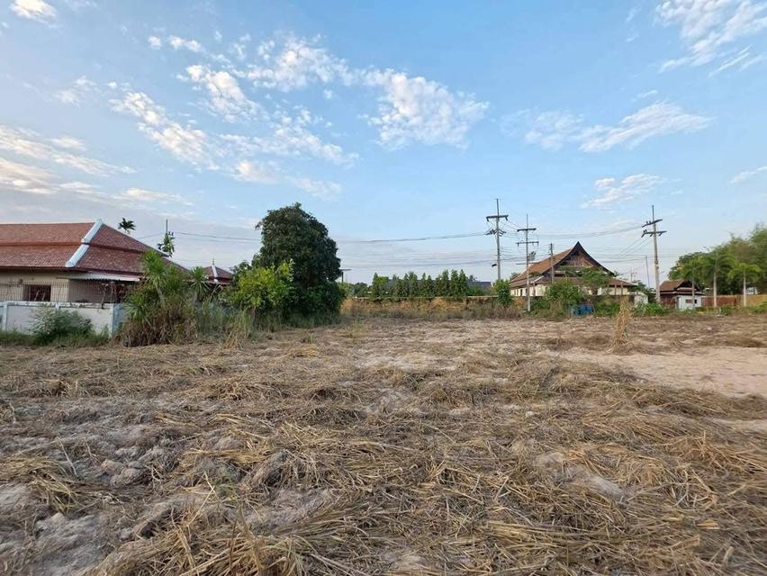 ขายที่ดินเปล่า แปลงสวยติดถนนสองด้าน บางเสร่ ชลบุรี 8