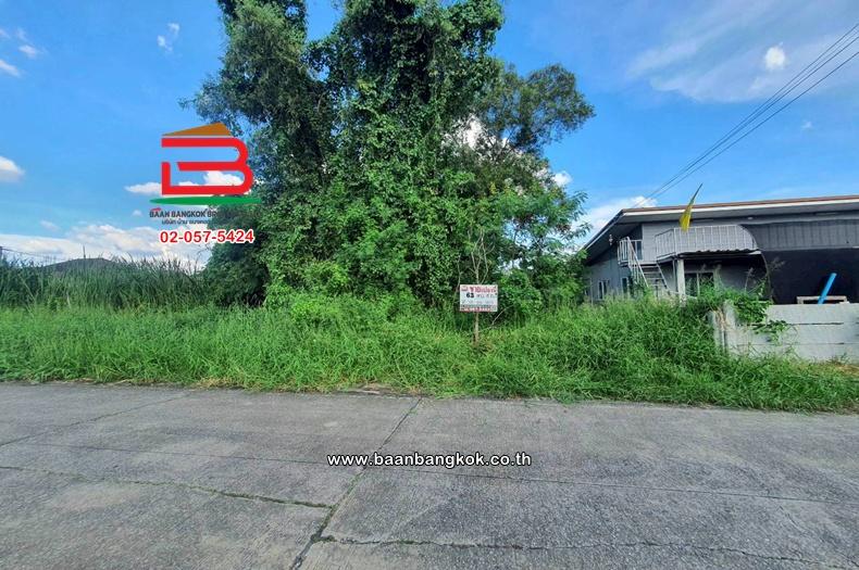 ที่ดินเปล่า เนื้อที่ 63 ตร.ว. ซอยร่วมใจ 1, ใกล้วัดเปรมประชา ถนนพหลโยธิน ตำบลสวนพริกไทย อำเภอเมืองปทุมธานี ปทุมธานี 1