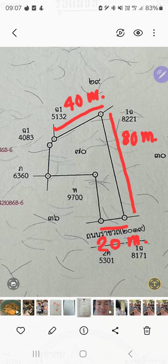 ขายที่อำเภอภูกระดึง 2