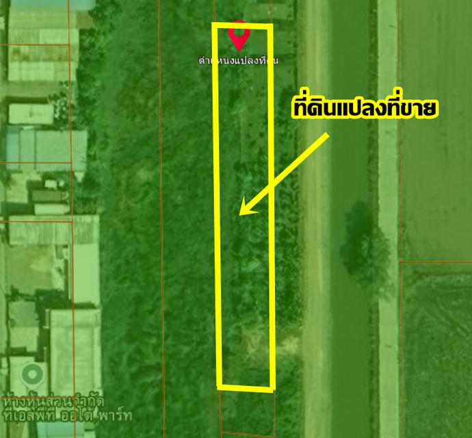 ขายที่ดิน 1 ไร่ ถนนคลองแอนคลองสอง ใกล้วัดพระธรรมกาย คลองหลวง ปทุมธานี 6