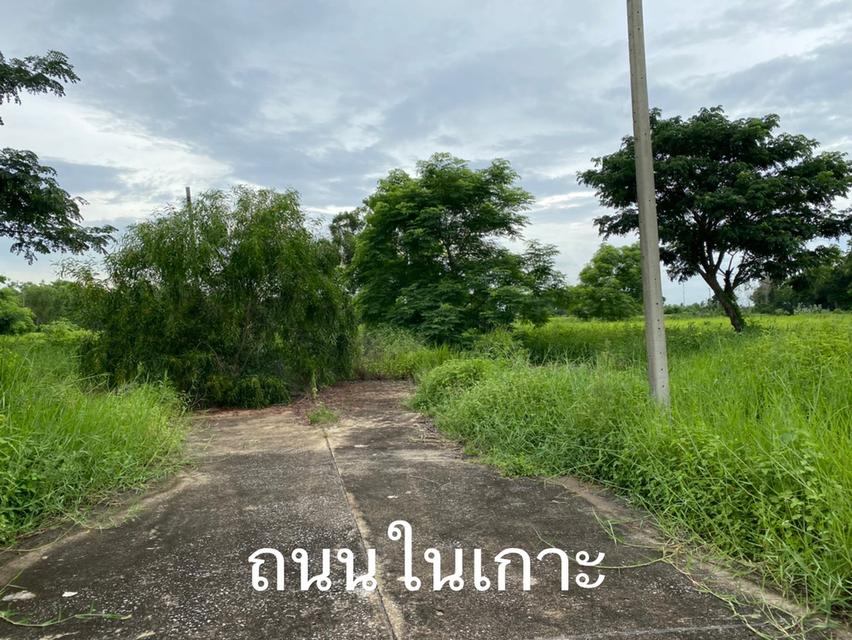         ขายด่วน ที่ดินแปลงจัดสรรล้อคที่ 76 เนื้อที่ 1-0-39ไร่ ในซอยสุวินทวงศ์ 47  2