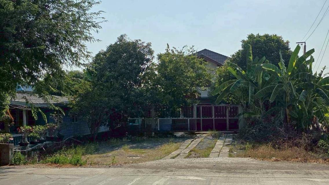 [ขายด่วน!] บ้านเดี่ยวแปลงใหญ่ 194.3 ตร.ว. ทำเลทองติด 7-11 ต.บางพูด จ.ปทุมธานี 6