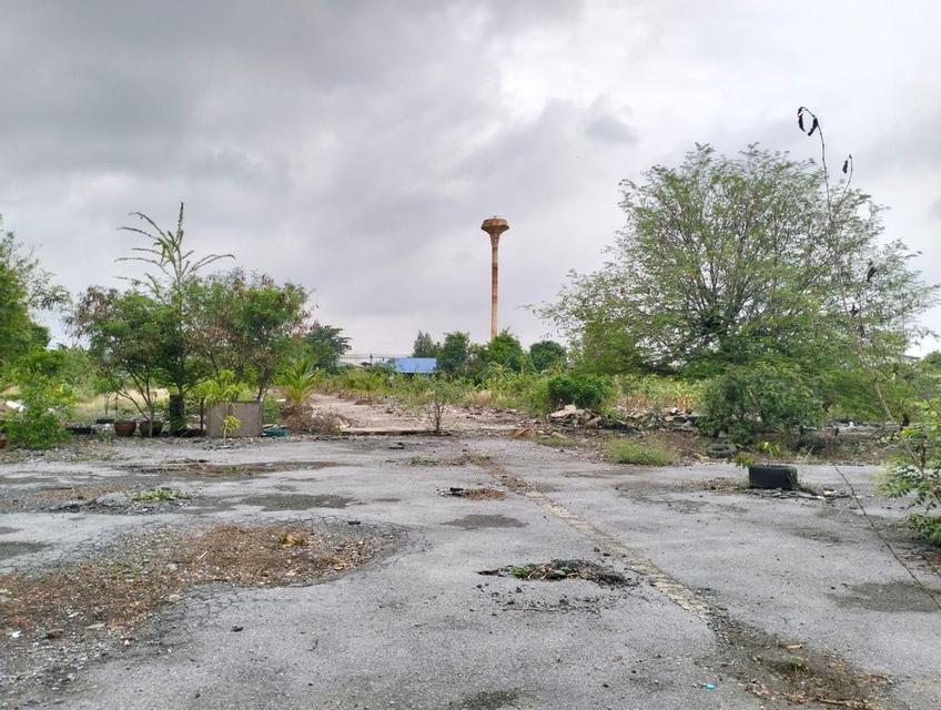 ขายที่ดิน9ไร่  ติดรถไฟฟ้าสายสีแดง ต.ประชาธิปัตย์ อ.ประชาธิปัตย์ จ.ปทุมธานี  14