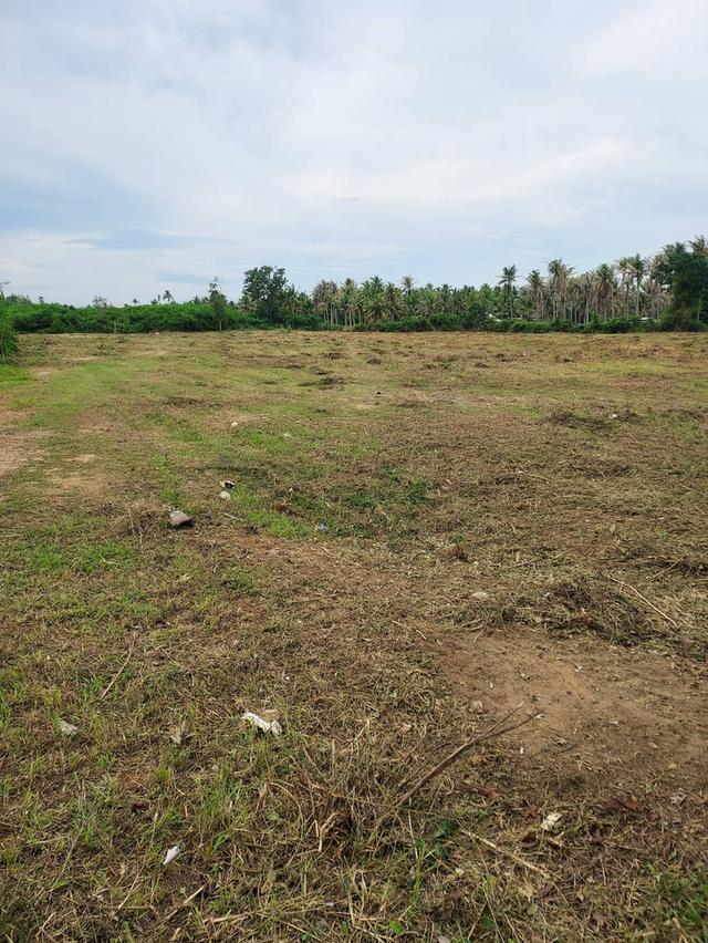 ที่ดิน 9 ไร่ 3 งาน พื้นที่ คั่นกระได ต.อ่าวน้อย อ.เมือง จ.ประจวบ 8