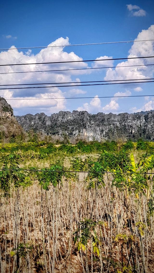 ⛰️ ให้ขุนเขาโอบกอดคุณ... บนที่ดินผืนสุดท้ายที่ "เนินมะปราง" โอกาสเป็นเจ้าของ "The Hidden Gem" วิวภูเขาหินปูนแบบพาโนรามา (Unseen Phitsanulok) 3