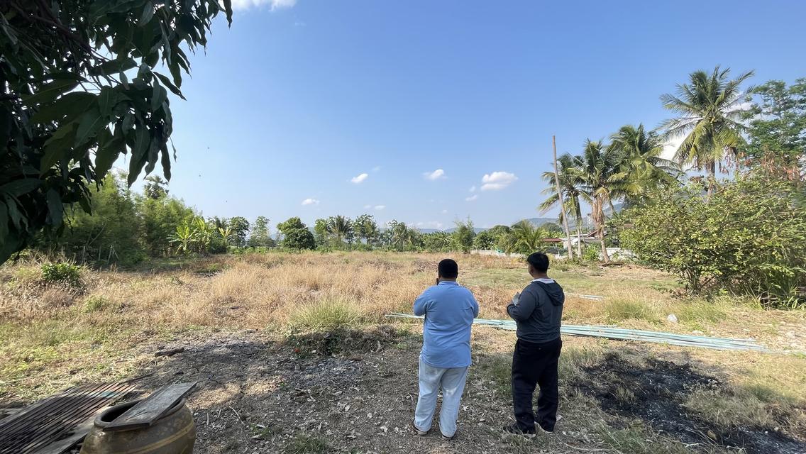 ขายที่ดินโฉนดครุฑแดง เนื้อที่ 2 ไร่ 3 งาน บ้านวังไทร ต.วังไทร ใจกลางแหล่งชุมชน  วิวเข้าล้อมรอบ ใกล้แหล่งท่องเที่ยวมากมาย 2