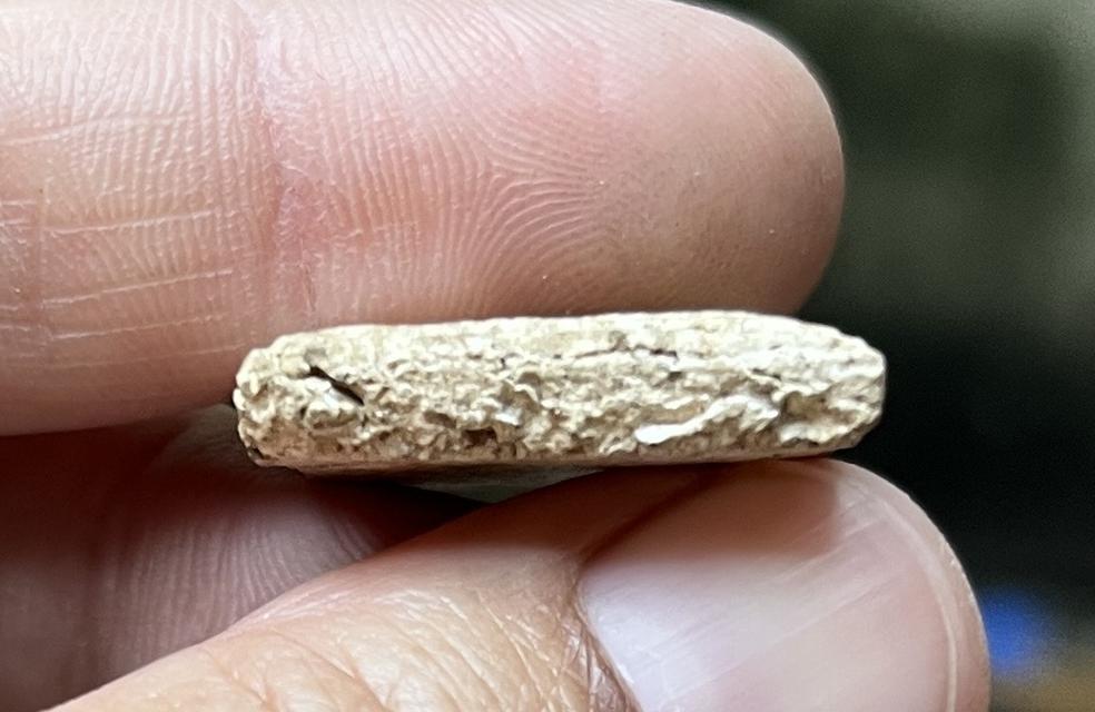 พระสมเด็จเส้นด้ายเนื้อแตกลายงา 4