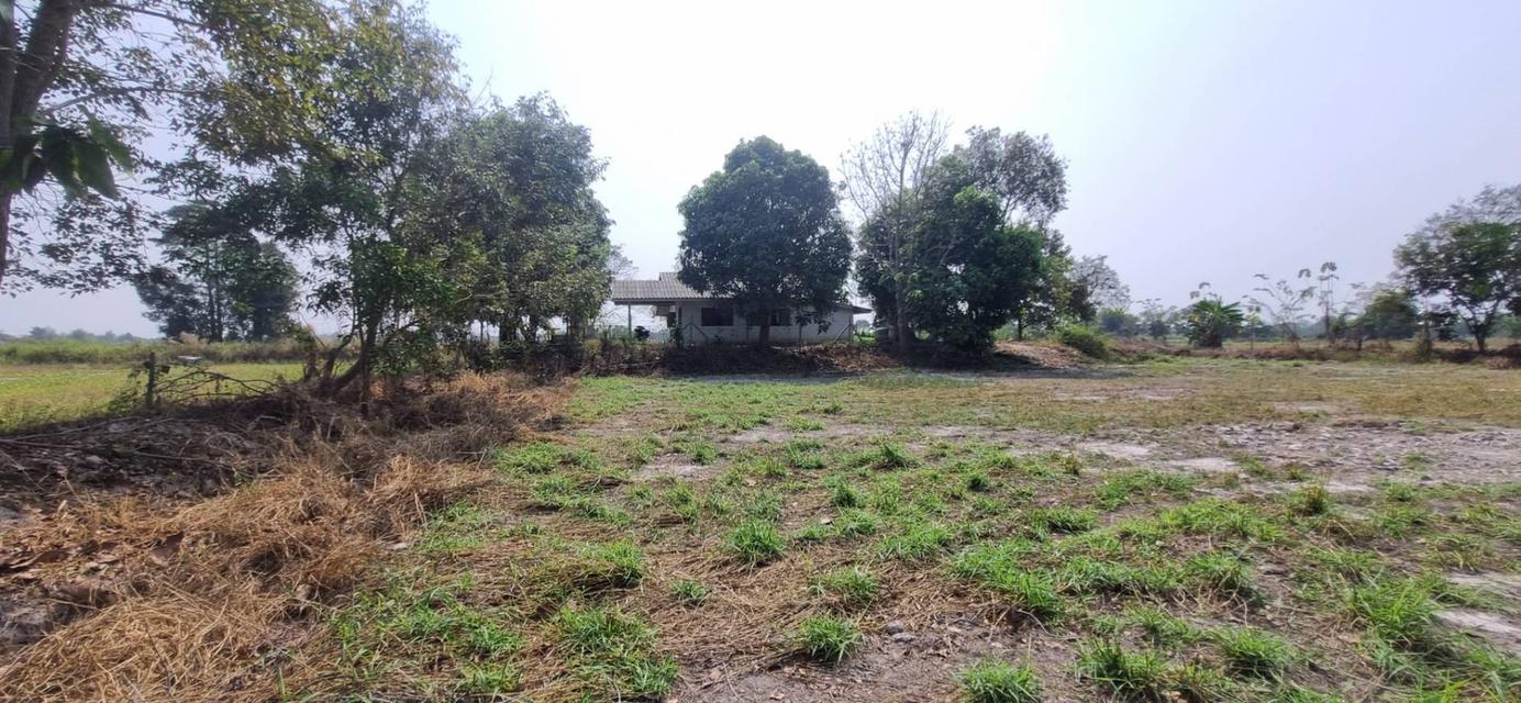 ขายที่ดินเปล่า นครนายก อ.เมือง 1 ไร่ 3 งาน 58 ตร.ว. ทำเลดี ติดคลอง ราคา 1.9 ล้าน 5