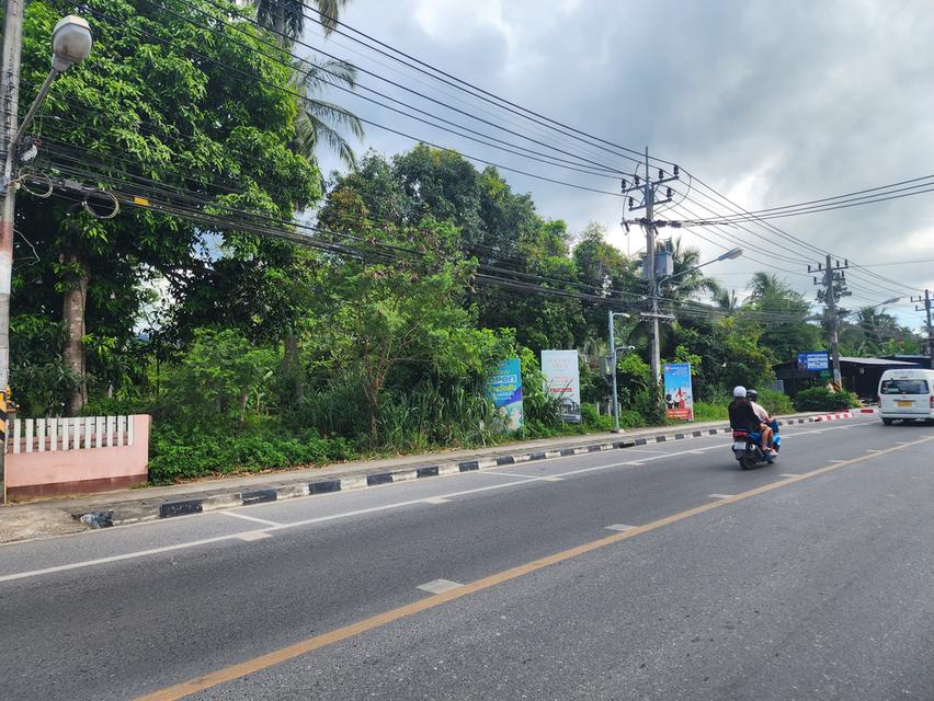 ขายที่ดินติดถนนรอบเกาะสมุย 9