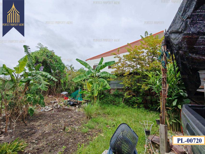 ขายที่ดิน สรงประภา ดอนเมือง ประชาอุทิศ เหมาะสำหรับสร้างบ้าน อพาร์ทเม้น ทำเลใกล้สนามบิน ราคาถูกมาก 10