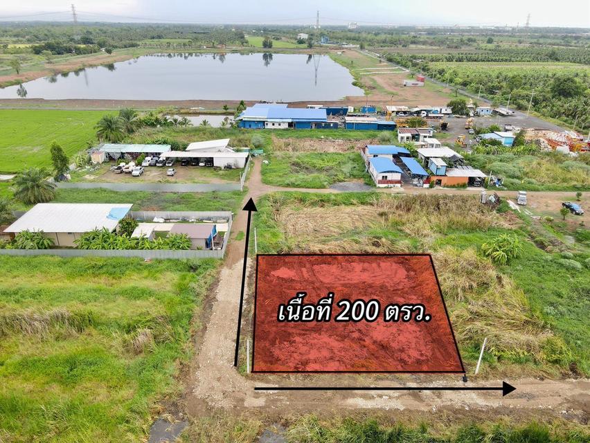 ที่ดินแปลงเล็ก เหมาะทำบ้านพัก ซ.พนารัตน์คลอง 9 อ.หนองเสือ จ.ปทุมธานี 4