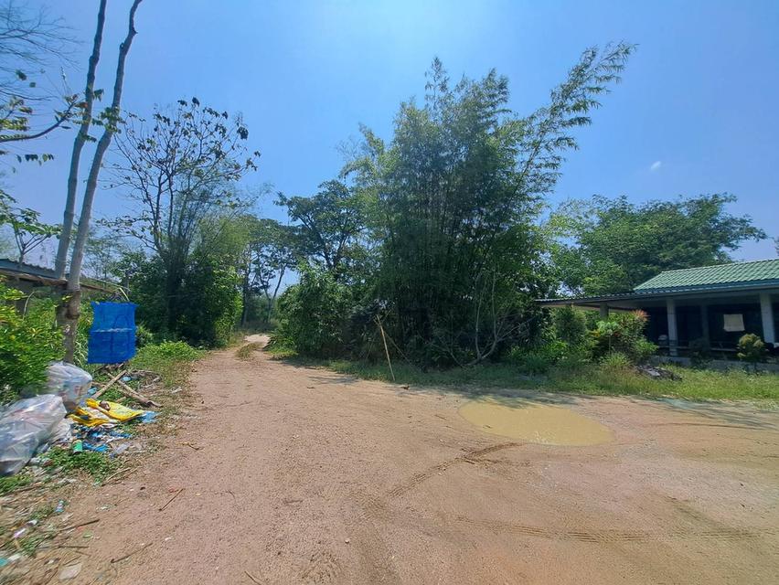 ขายที่ดินระยอง ที่ดินนิคมพัฒนาซอย11สาย15 เนื้อที่ 49-3-77.8 ไร่ ใกล้นิคมWHA36และBYDระยองเพียง 3.5 กม.รูปแปลงสวย 7