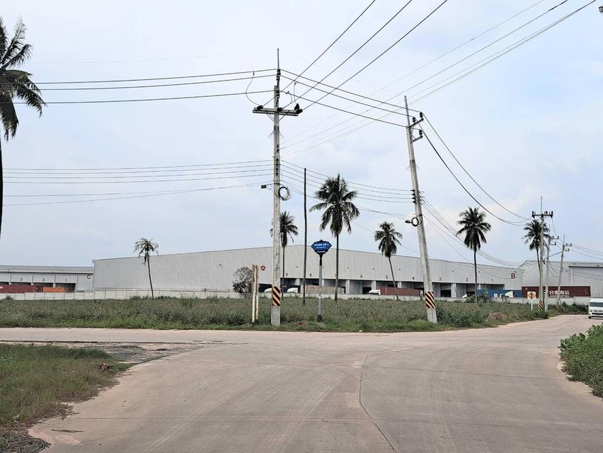 ขายที่ดินบ่อวิน 2 ไร่ ใกล้โรงพยาบาลปิยะเวชช์บ่อวิน ศรีราชา ชลบุรี 1