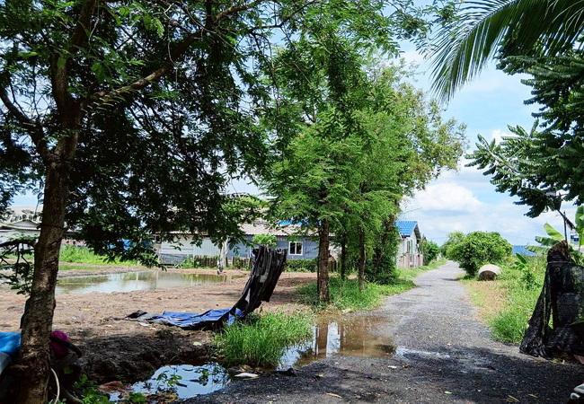 ขายที่ดิน ซอยมิตรไมตรี 14 ถนนมิตรไมตรี หนองจอก กรุงเทพ เนื้อที่ 1 ไร่ ถมแล้ว 7