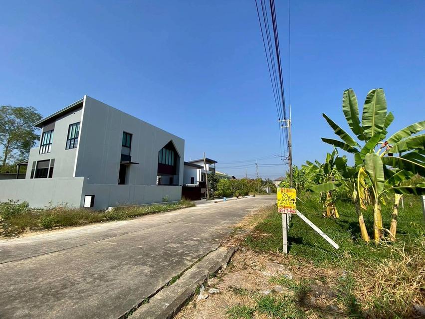 ขายต่ำกว่าประเมิน ที่ดินหมู่บ้านปาริชาต 76 ตรว ถมแล้วทั้งแปลง โซน A62/1 ถนน 345 อ.เมืองปทุมธานี จ.ปทุมธานี 5