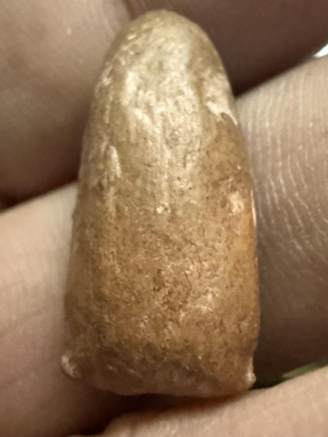 พระรอดลำพูนพิมพ์ใหญ่ 5