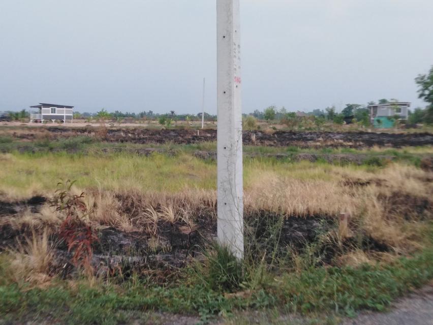 ที่ดิน400-500.ตรางวา 7