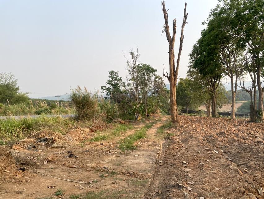 ขายที่ดิน 37 ไร่ ติดทางหลวงสาย เลย เพชรบูรณ์ 7