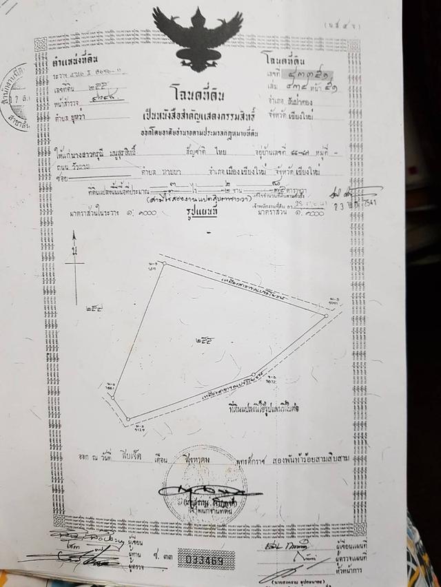 ขายที่ดินเปล่า สันป่าตอง 9ไร่ ต.ยุหว่า  ถนนในซอย มีทาง เข้าออก  อยู่ หลัง โรงเรียน สันป่าตอง ราคา 4.5ล้านบาท ตก ตร.วาละ 1,250 บาท 0631408787 5
