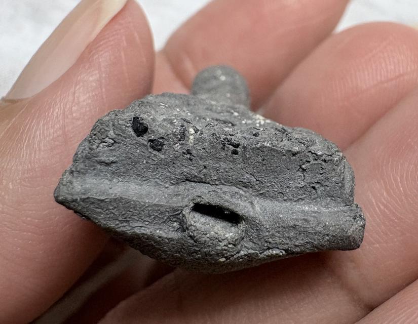 ล.ป..ทวด วัดประสาทบุญญาวาท ผิวเดิม รูปที่ 5