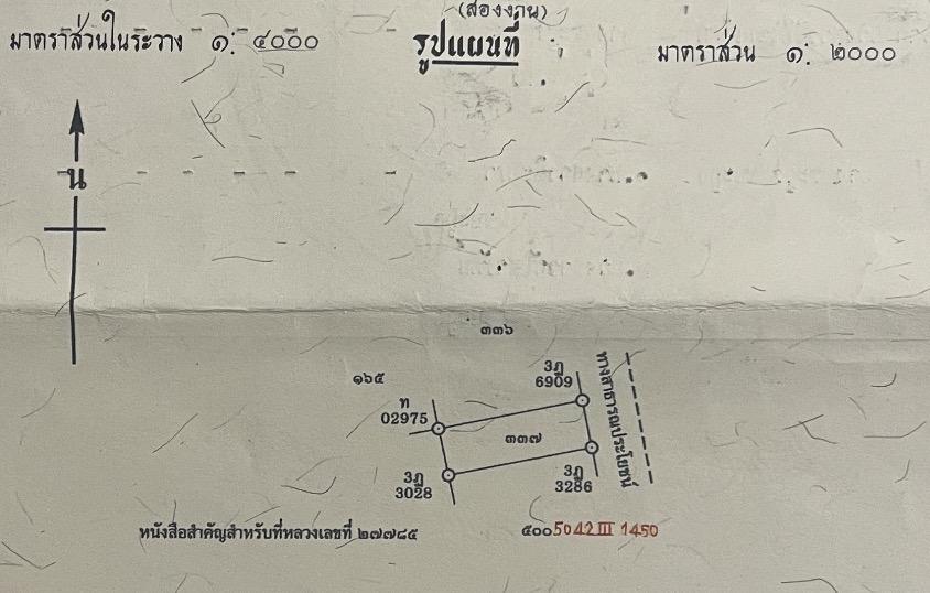 ขายที่ดิน ขนาด 2 งาน บางระกำ พิษณุโลก 2