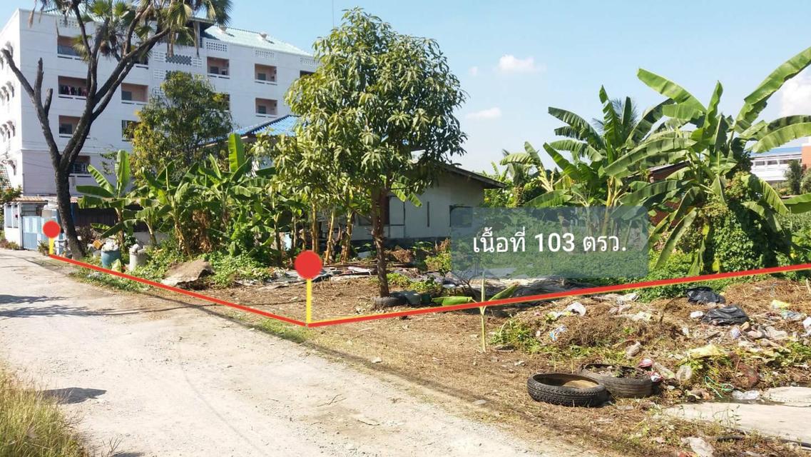 ขายที่ดิน 103 ตรว. เลียบด่วนรามอินทรา ถ.อินทราภรณ์ ซอยพระยาประเสริฐ (บดินเดชา) เขตวังทองหลาง กรุงเทพๆ 1