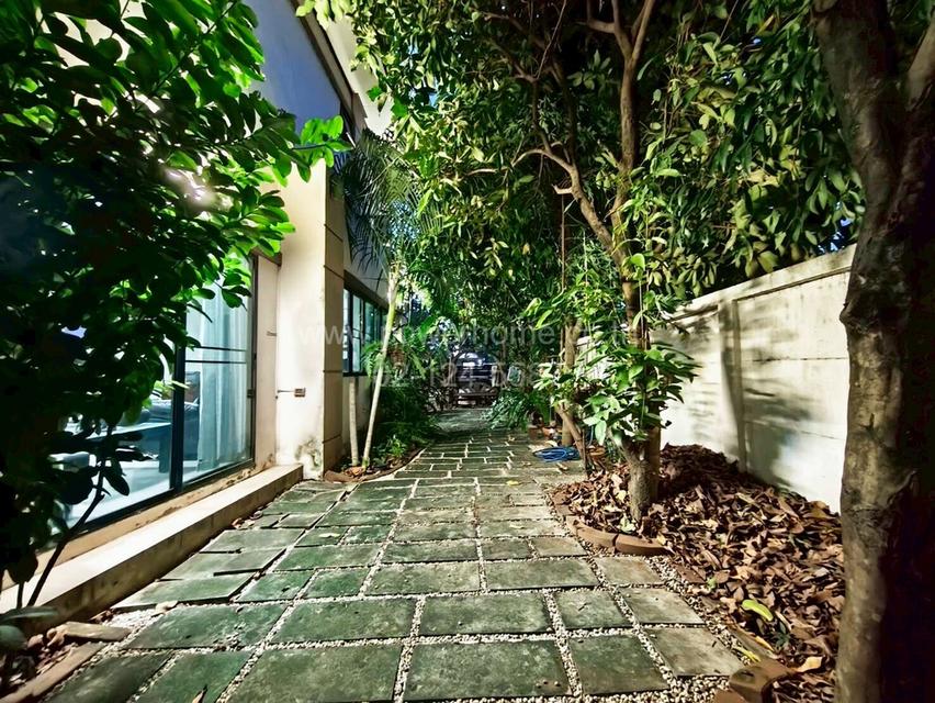 หมู่บ้านฟ้าปิยรมย์ เนสโต้ ลำลูกกา คลอง 6 ต.บึงคำพร้อย อ.ลำลูกกา จ.ปทุมธานี 5