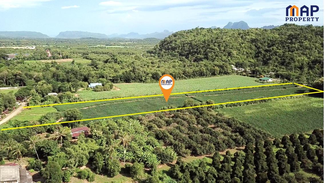 โอกาสทองของนักลงทุน และผู้ที่มองหาที่ดินเพื่อการพักผ่อน ที่ดินวิวภูเขา 5