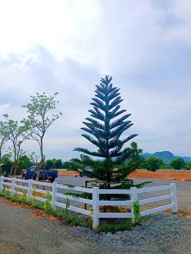 ขายที่ดินจัดสรรพรหมณีติดบรรยากาศวิวเขา 1 ไร่ ใกล้ถ.สุวรรณศร 33และแยก จปร. 3.3 กม. อ.เมืองนครนายก จ.นครนายก 2