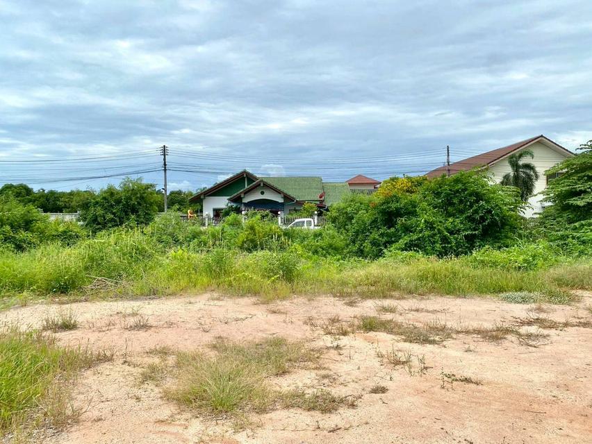 ขายที่ดินเชิงเนิน 105 ตรว. ถมแล้วซอยทางไผ่3 ใกล้หาดแหลมเจริญ7กม. เมืองระยอง 3