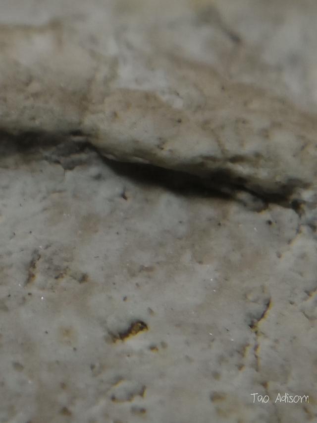 พระสมเด็จวัดระฆังโฆสิตาราม 10