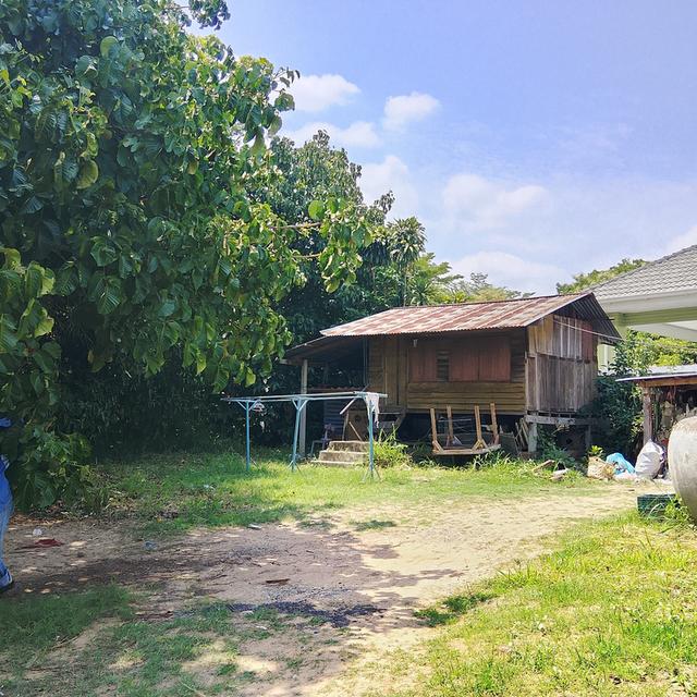 ที่ดิน 200ตรว. อ.เมือง จ.นครราชสีมา 6