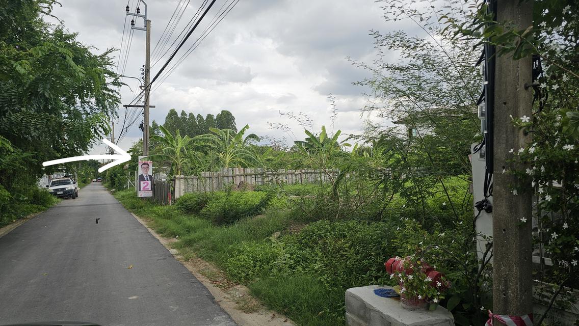 ที่ดินเปล่า ใกล้ตลาดสะพานใหม่ กทม. 7