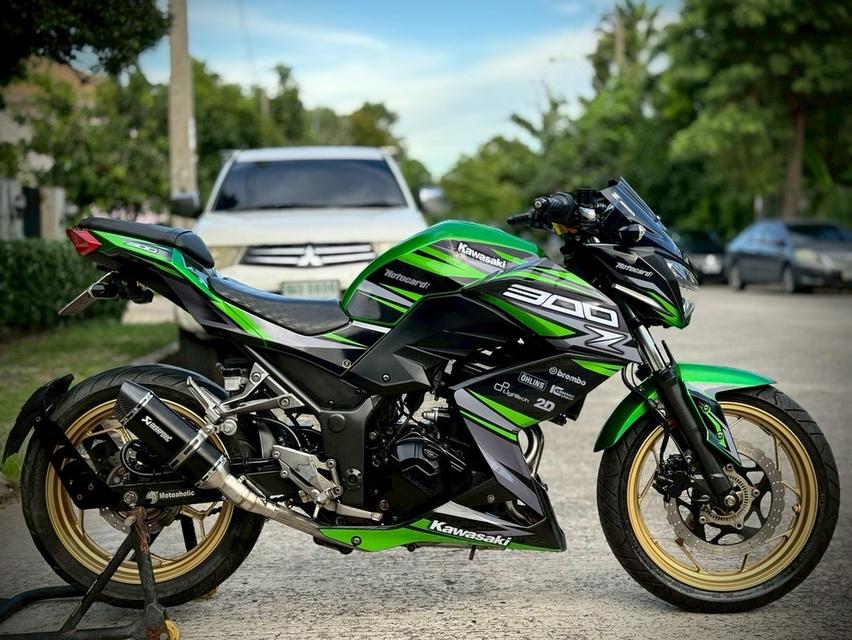 Z300