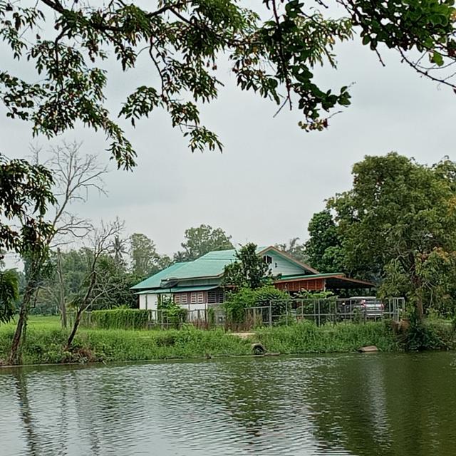 บ้านพร้อมที่ดิน 2 ไร่ 2 งาน 17 ตรว. 7