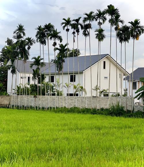 ขายบ้านสร้างใหม่ แม่โจ้ อ.สันทราย เชียงใหม่ 3