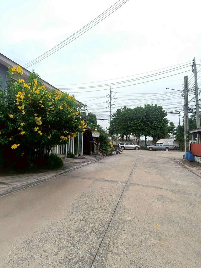 หมู่บ้านพฤกษาวิลล์ 62/2 นิมิตใหม่ มีนบุรี 19