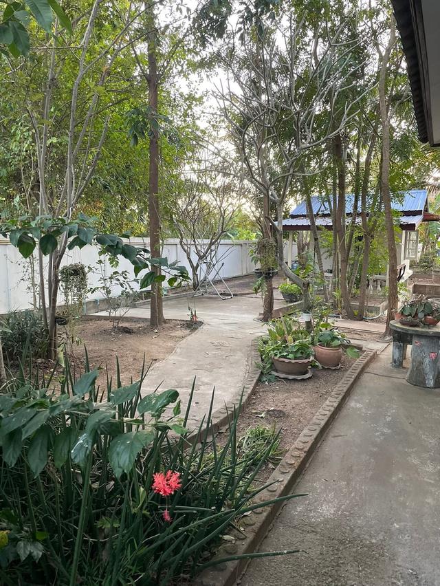 บ้าน และที่ดินจังหวัดโคราช 4