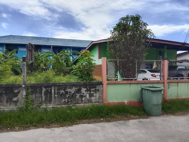 ขายหอพักพานทองชลบุรี ขายหอพัก 3 ห้อง ถนนสุขประยูร หนองตำลึง พานทอง ชลบุรี เนื้อที่ 86 ตรว. ห้องพัก3ห้องห้องละ3000 1