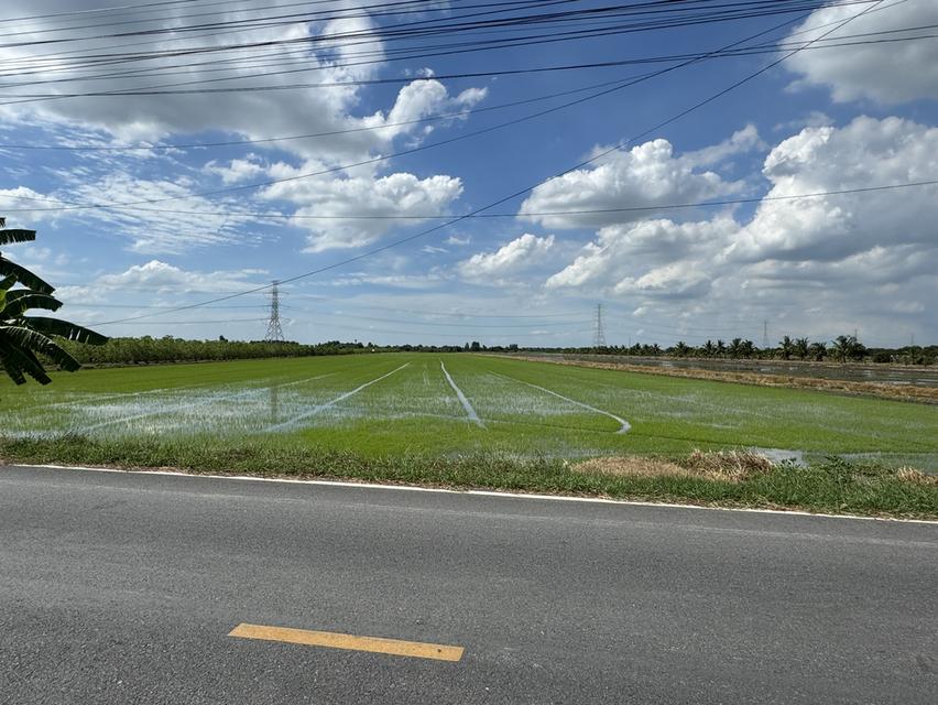 ขายที่ดิน 31 ไร่ ติดถนน อ.ลาดหลุมแก้ว จ.ปทุมธานี 1