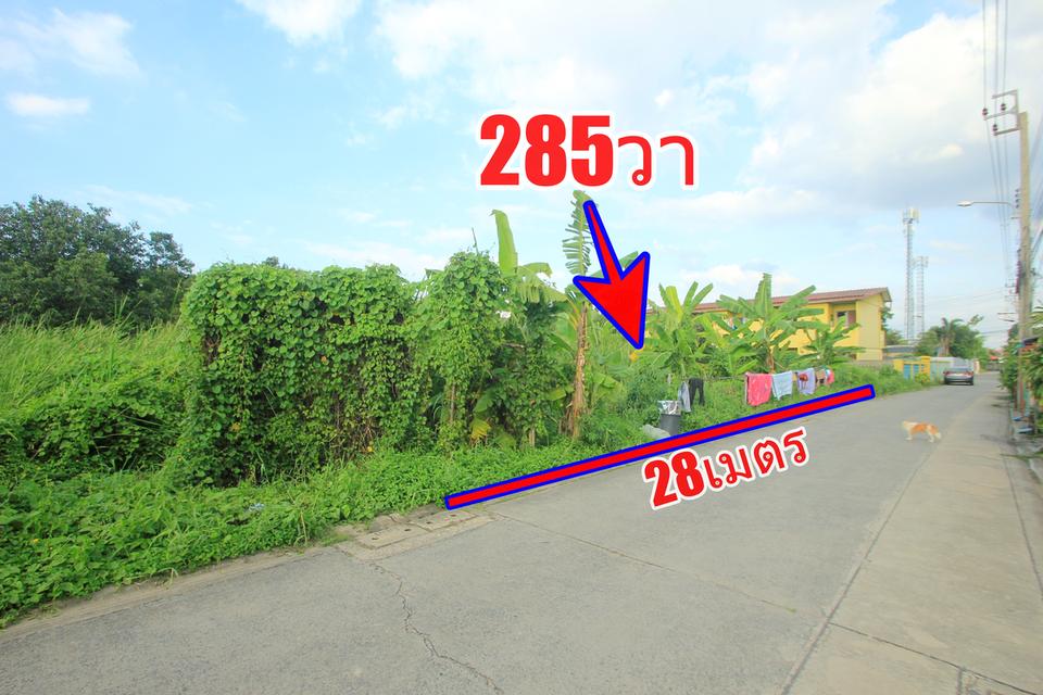ที่ดินเพชรเกษม69 สวัสดิการ1 เลียบคลองภาษีเจริญฝั่งเหนือ 285วา ที่ดินสร้างบ้าน บ้านเช่า โกดัง ราคาพิเศษ 12