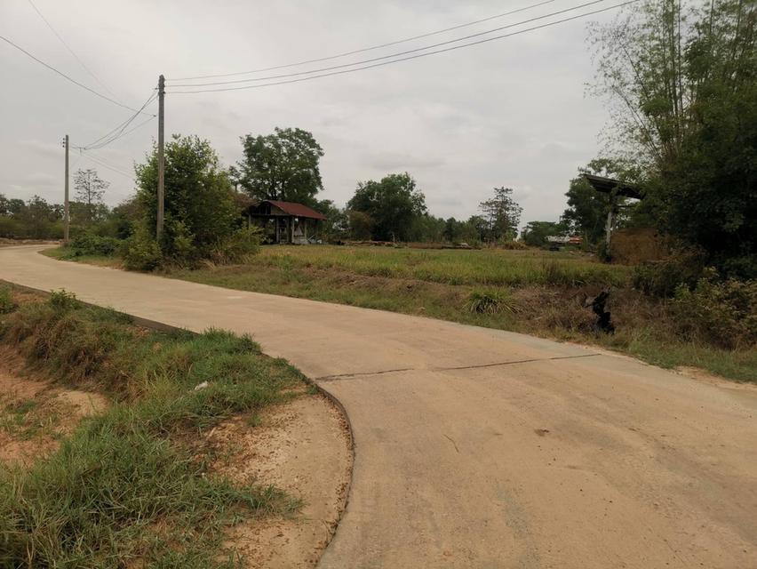 ขายที่ดินเปล่า