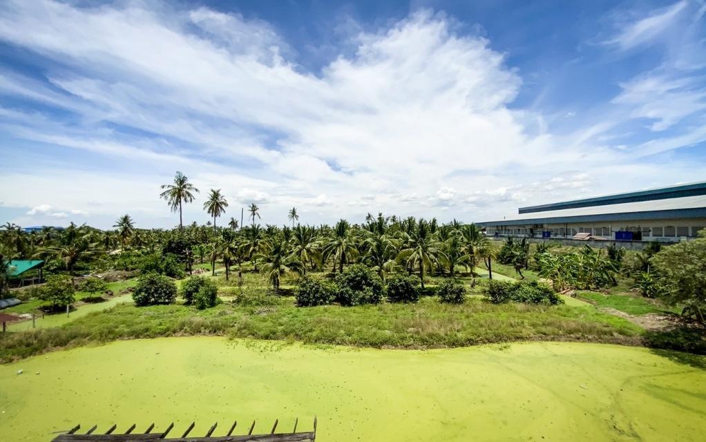 ✨️ขายที่ดินแปลงสวยติดถนนใหญ่  (เส้นบ้านแพ้ว-นครปฐม) หน้าติดถนน...หลังติดคลอง ✨️ 11