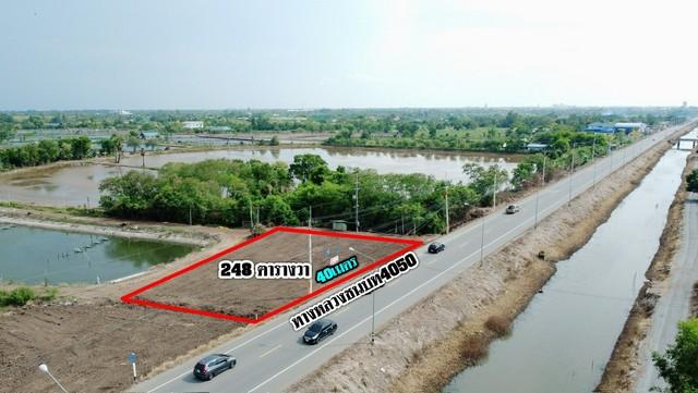 ขายที่ดินบางแก้วถมแล้วเนื้อที่ 248 ตรว. ติดถนนเลียบคลองชลประทาน ใกล้วัดสมานรัตนาราม8กม. เมืองฉะเชิงเทรา 9