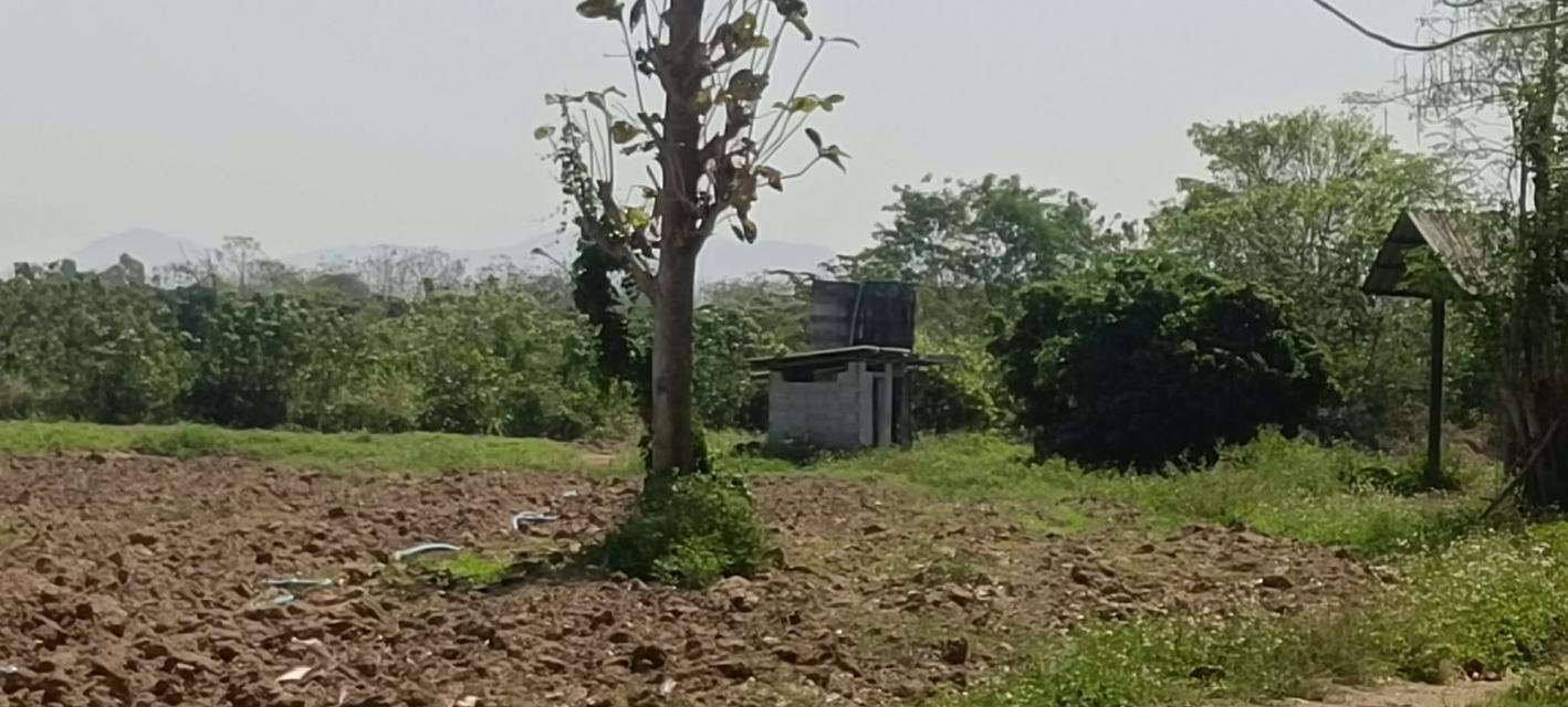 บ้านพร้อมที่ดินจังหวัดลำพูน 7