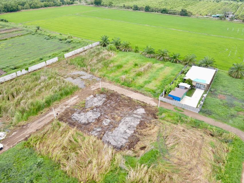 ที่ดินแปลงเล็ก เหมาะทำบ้านพัก ซ.พนารัตน์คลอง 9 อ.หนองเสือ จ.ปทุมธานี 5