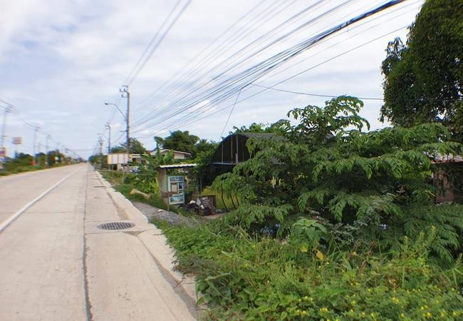 ขายที่ดิน ติดถนนบ้านกล้วย-ไทรน้อย ตำบลไทรน้อย อำเภอไทรน้อย นนทบุรี 3